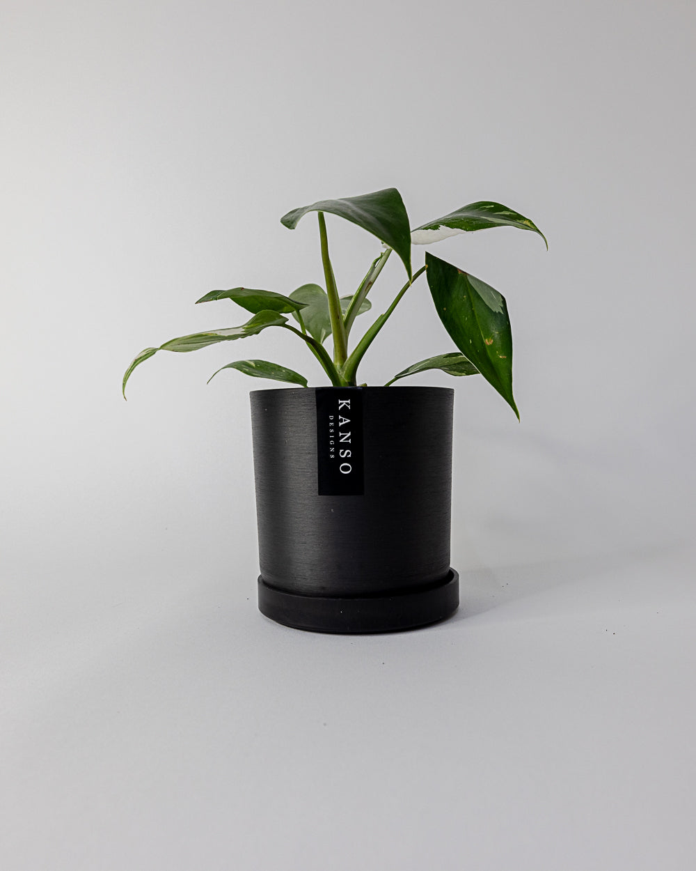 Kanso - 4" Signature Planter & Saucer | Black