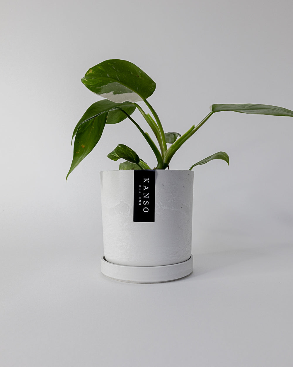 Kanso - 4" Signature Planter & Saucer | White Stone