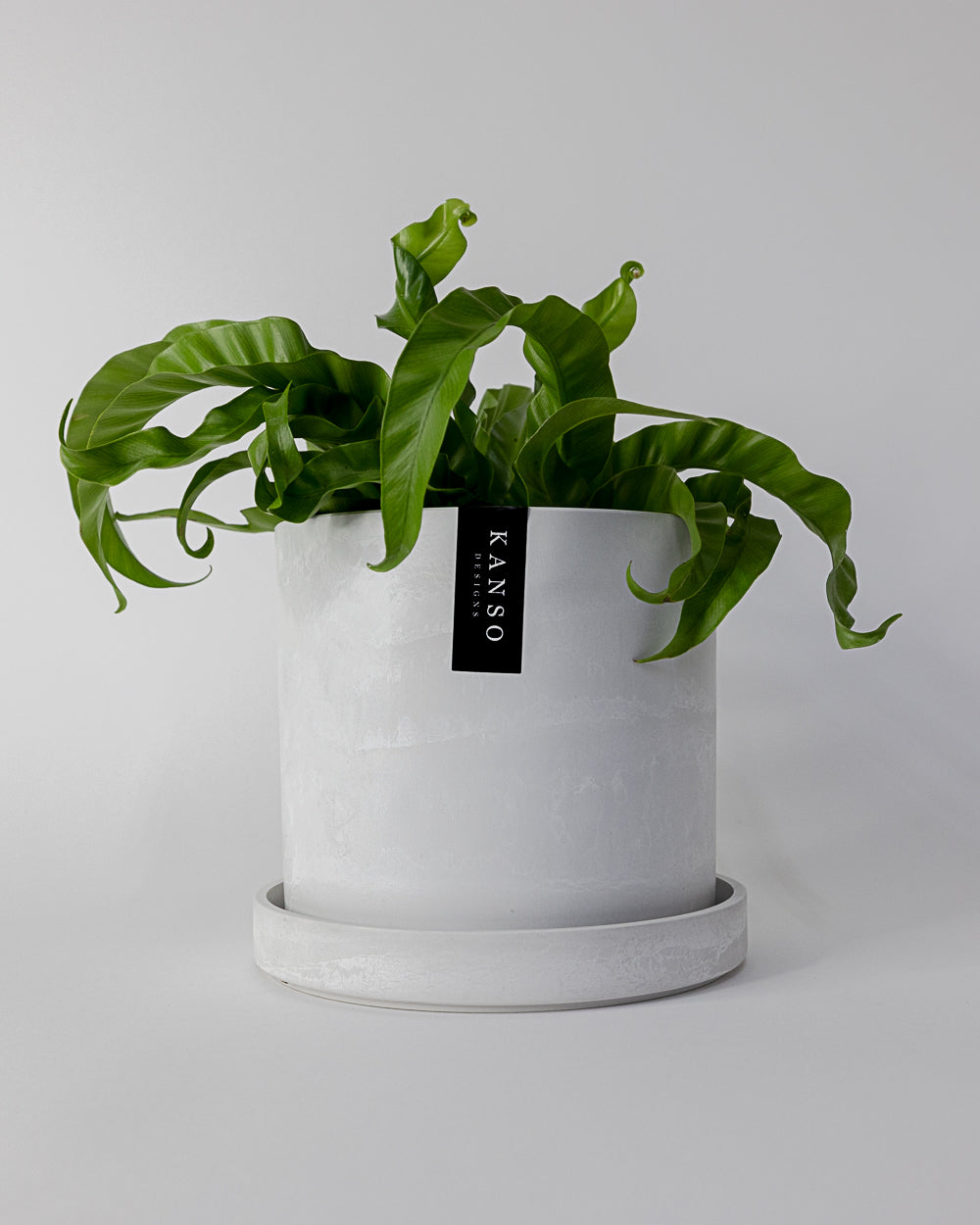 Kanso - 7" Signature Planter & Saucer | White Stone