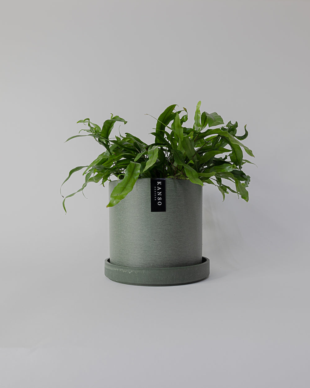 Kanso - 7" Signature Planter & Saucer | Olive Sage