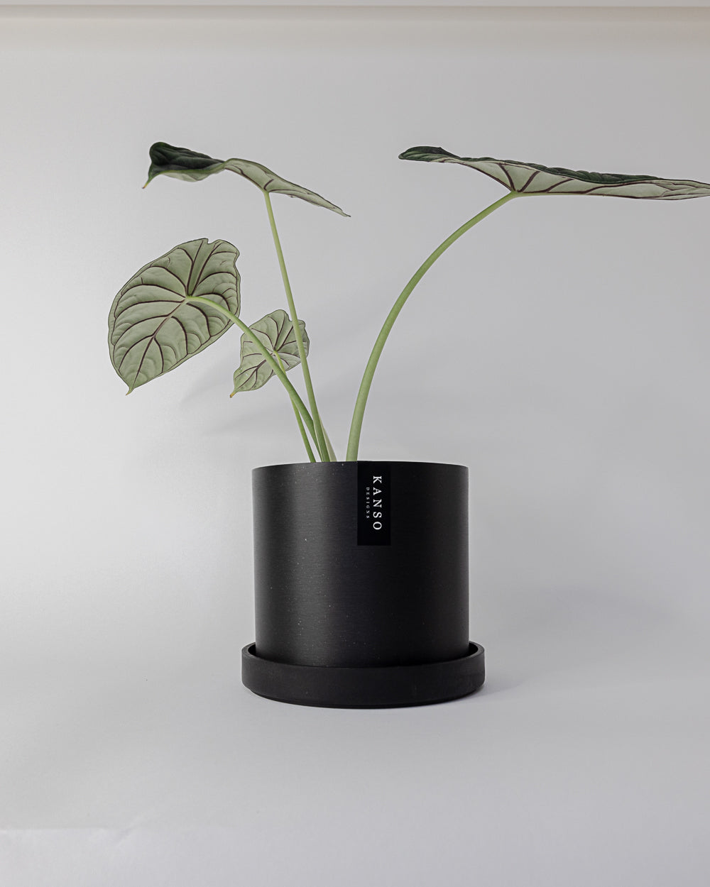 Kanso - 7" Signature Planter & Saucer | Black