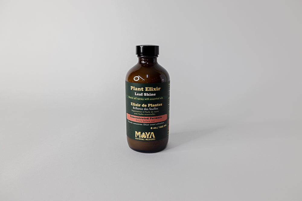 Plant Elixir Concentrate
