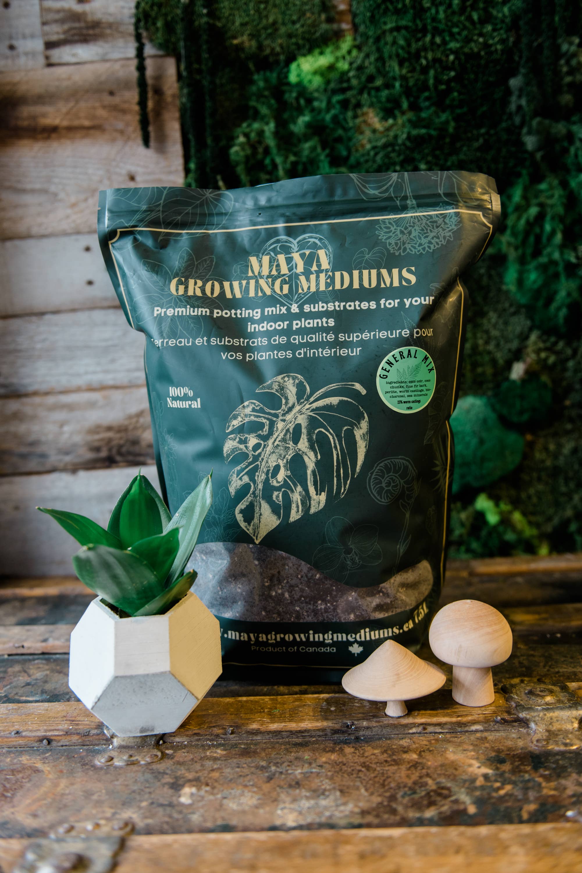 MAYA: General blend - Large