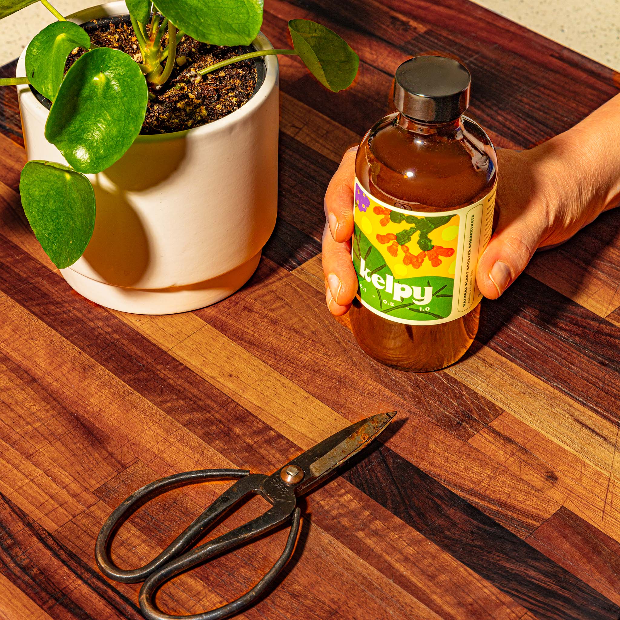 Kelpy Plant Food Large Size 500 ml