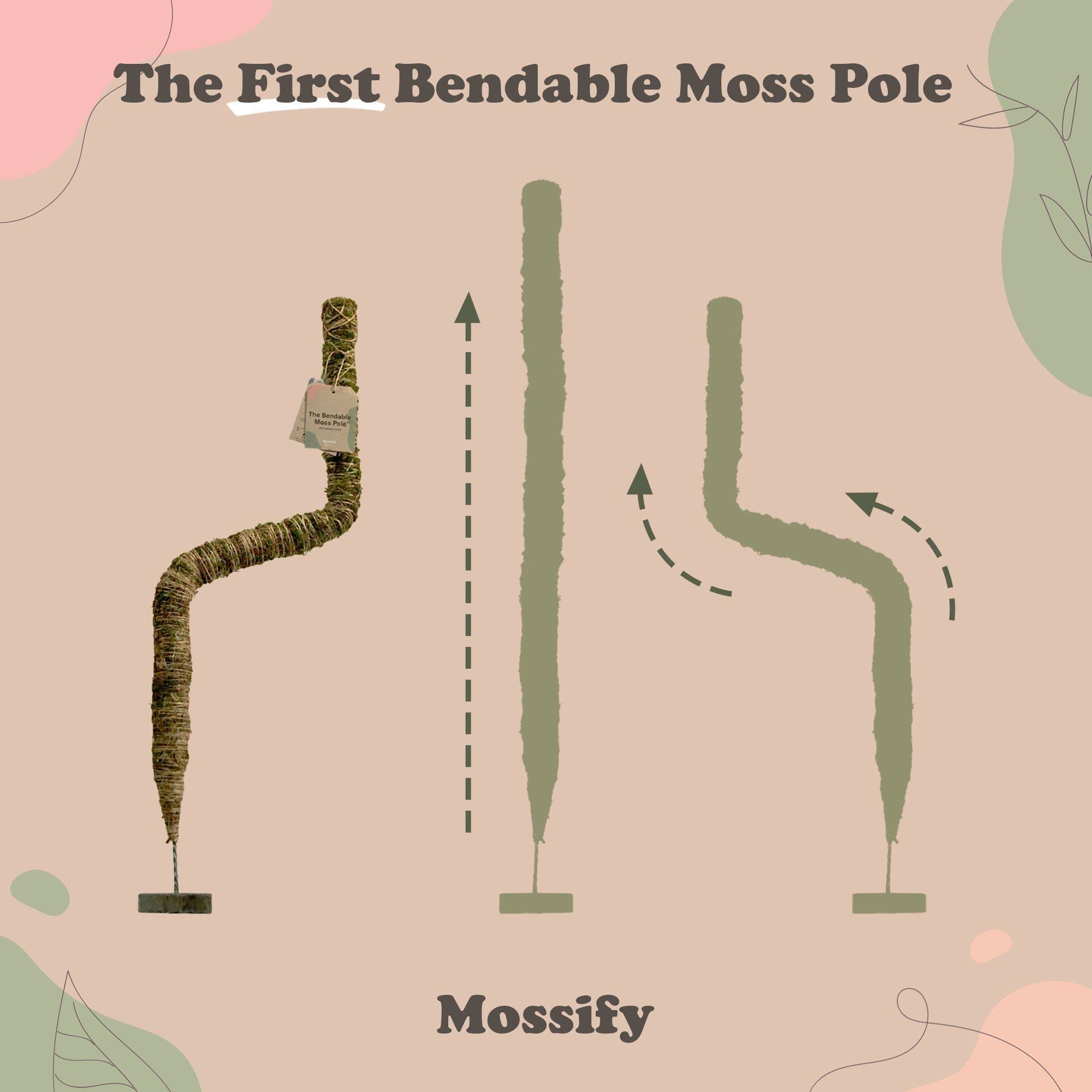 Mossify Bendable Moss Pole 16"