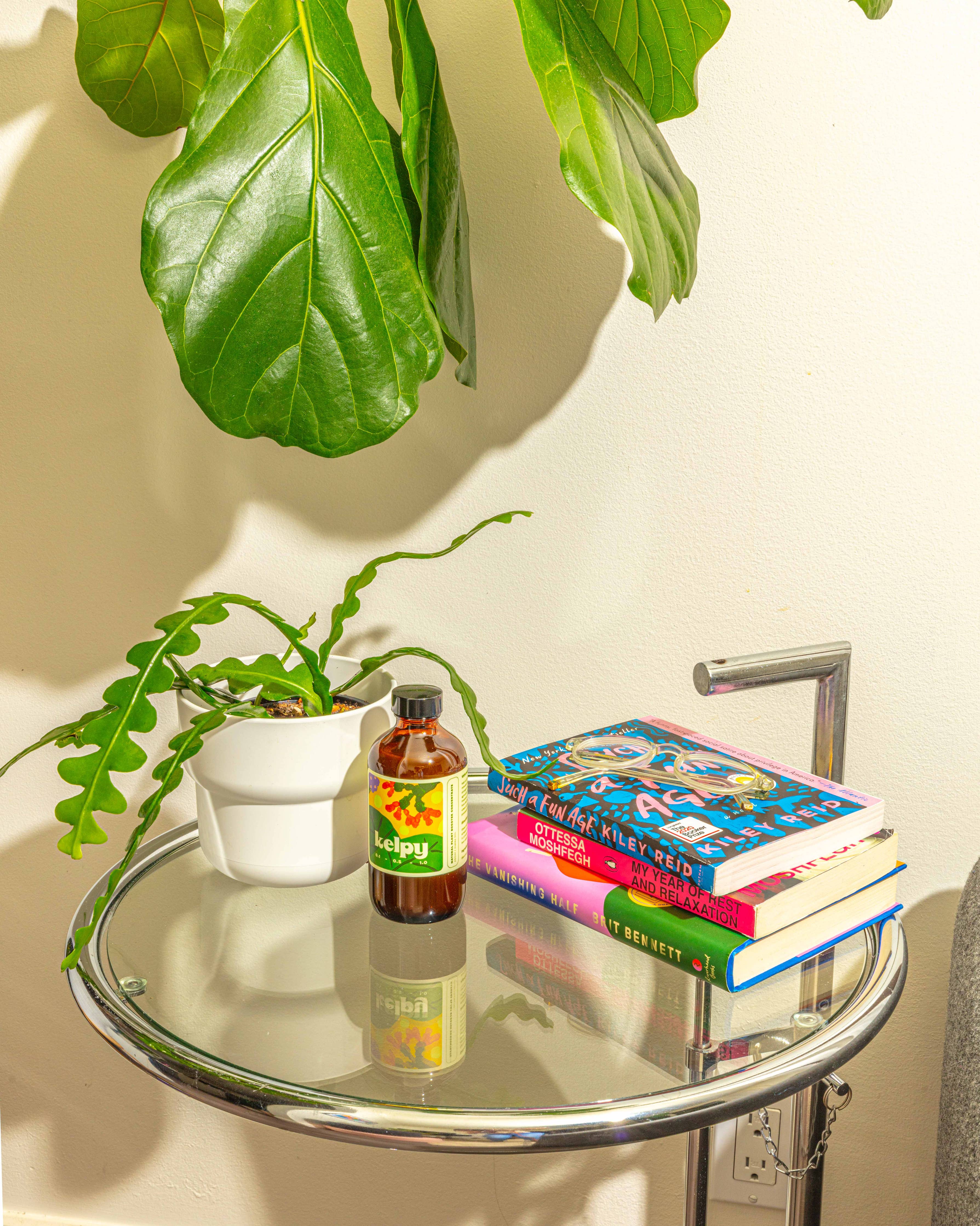 Kelpy Plant Food 250ml