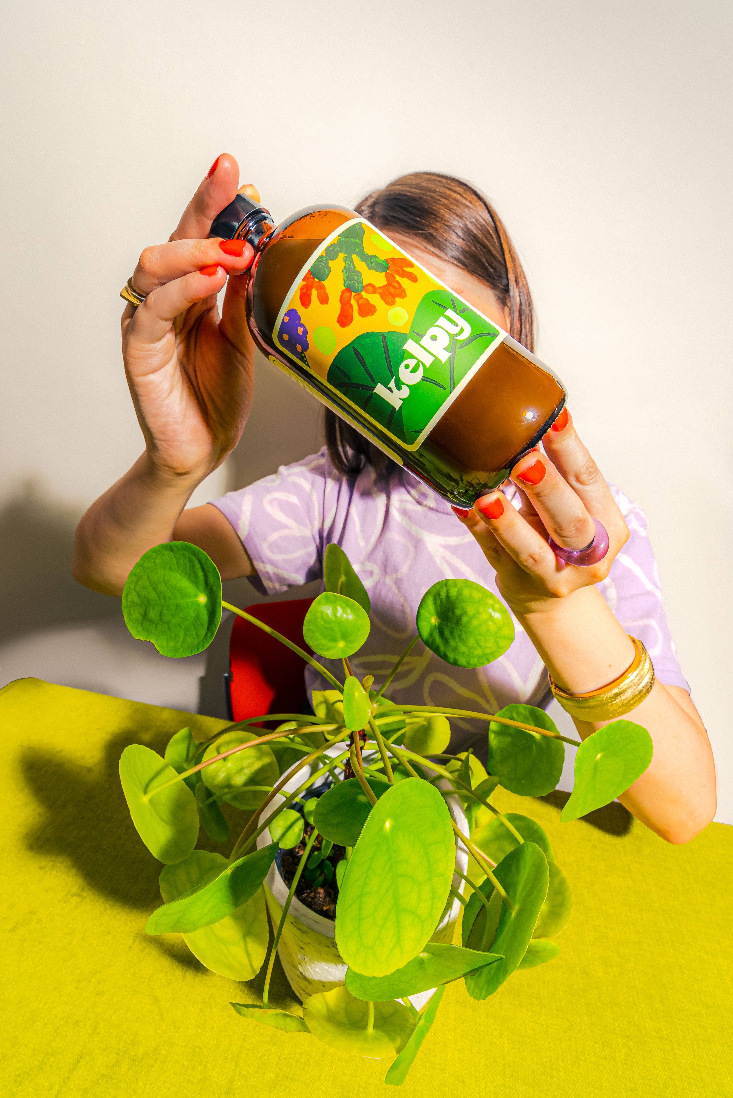 Kelpy Plant Food Large Size 500 ml