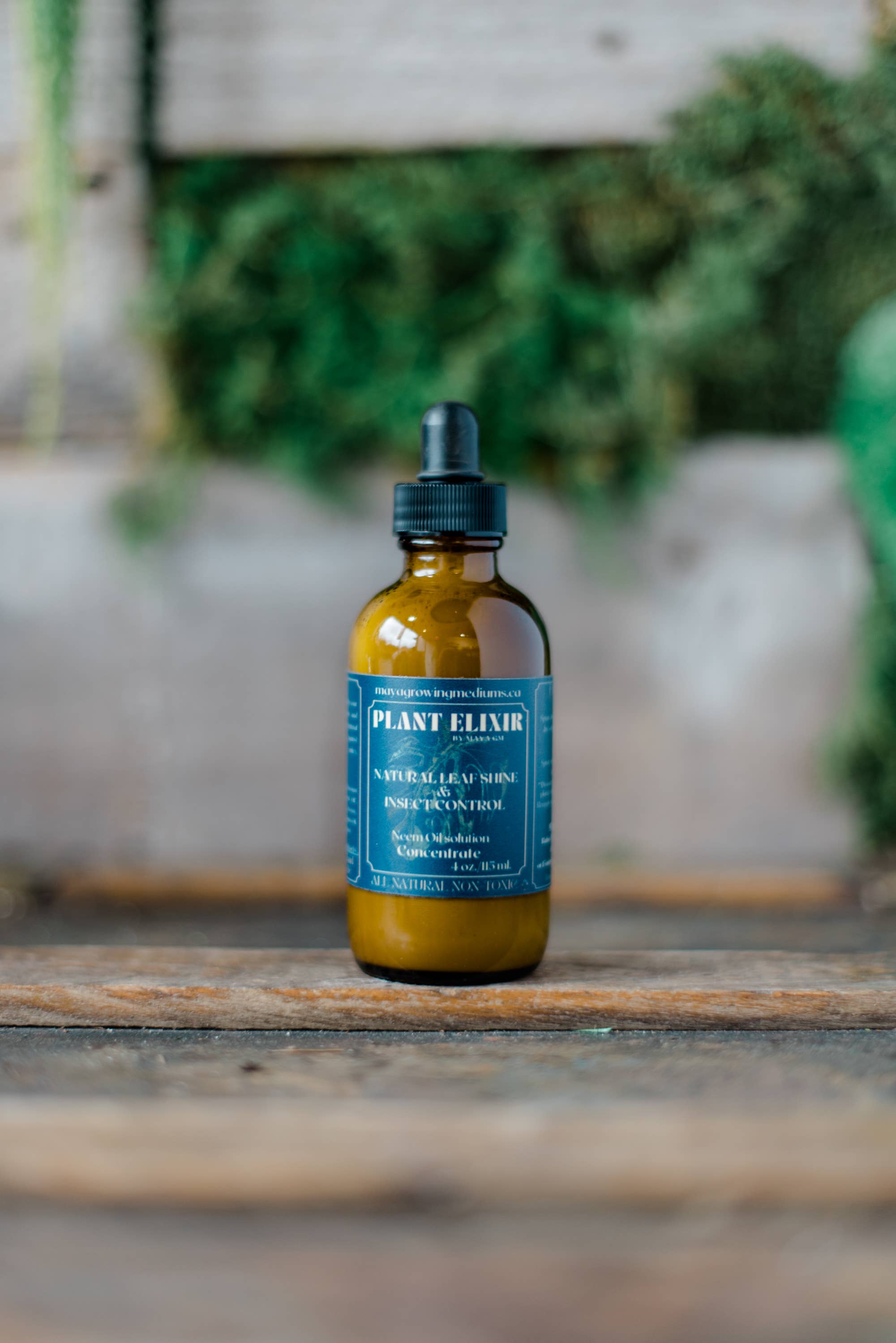 Plant Elixir Concentrate