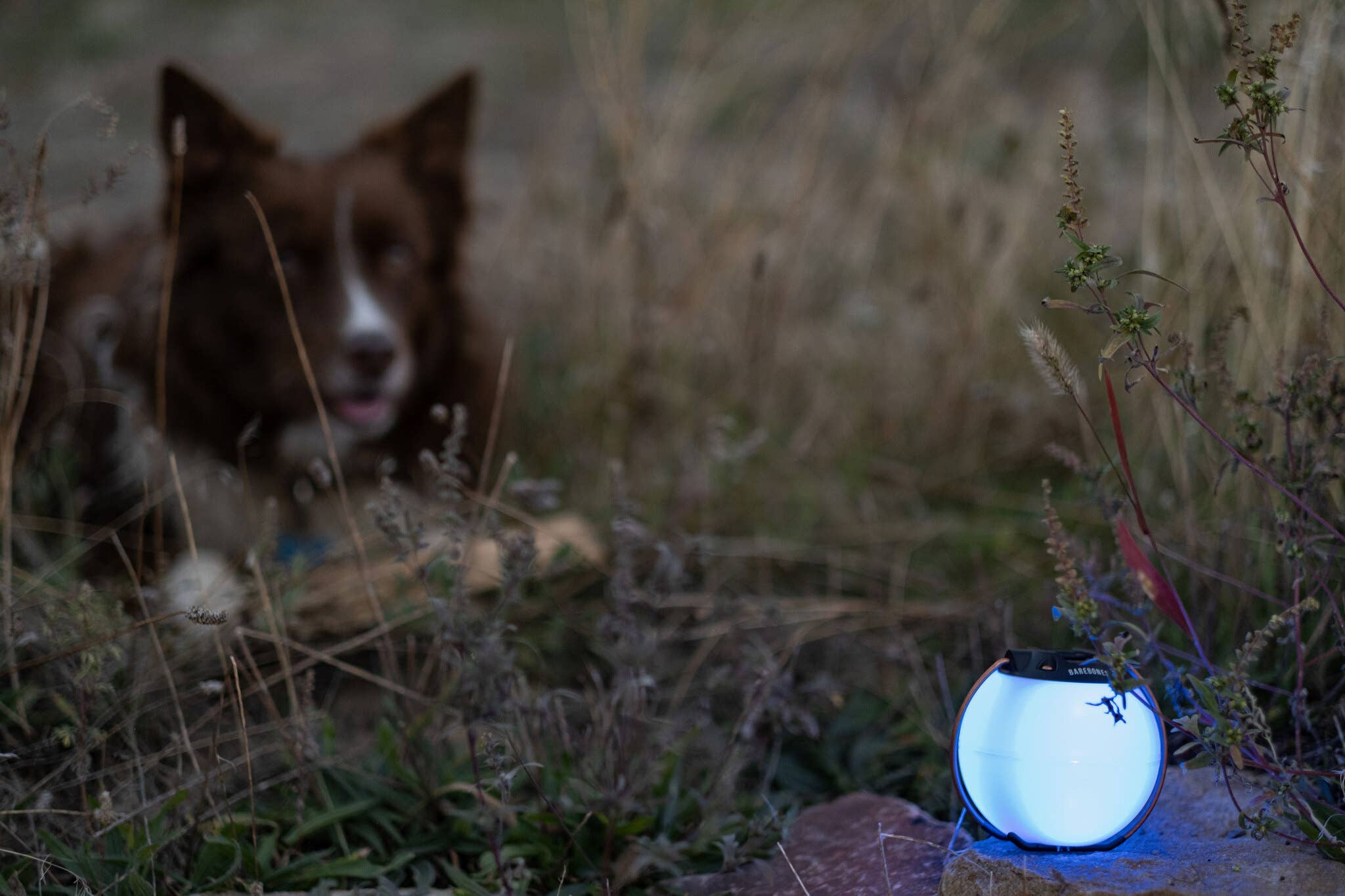 Globe Lantern