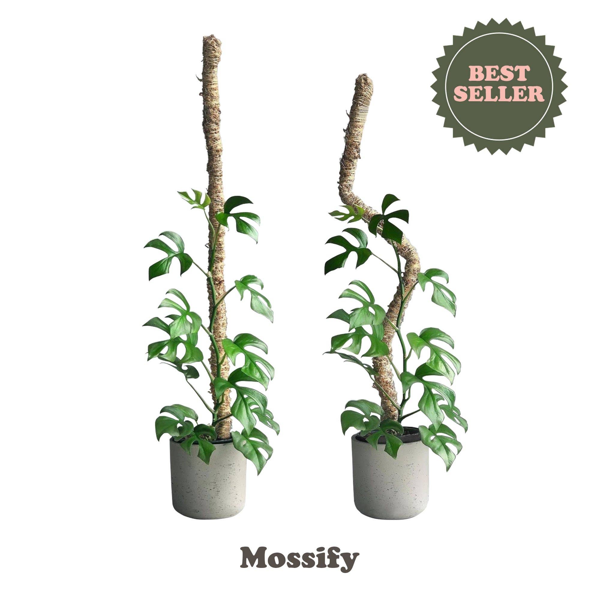 Mossify Bendable Moss Pole 30"
