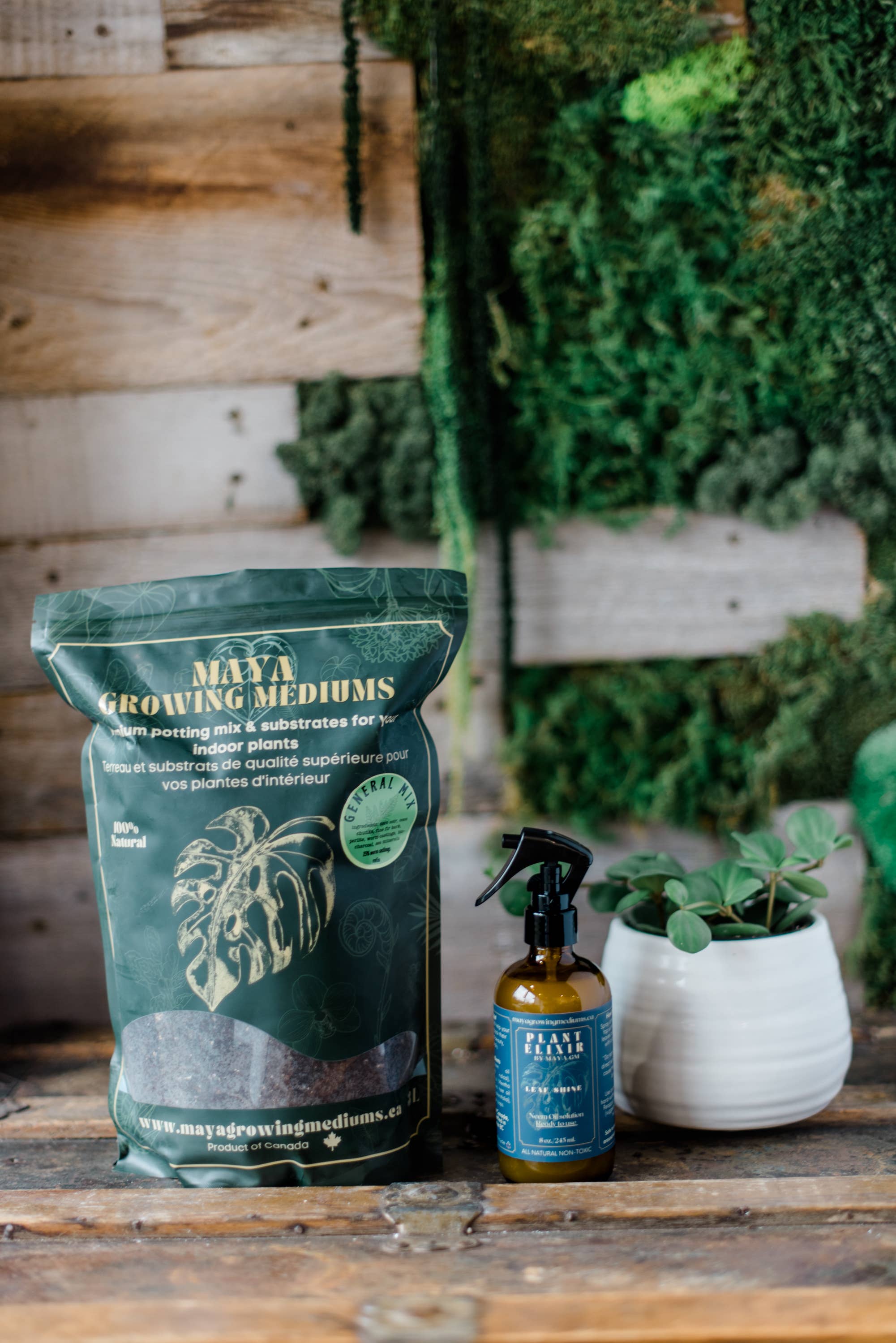 MAYA: General blend - Large