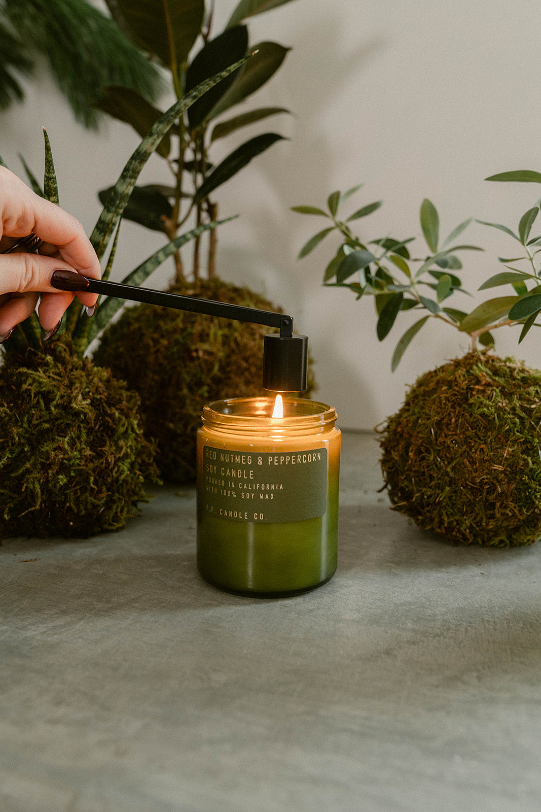 Discover the Art of Kokedama: A Workshop of Elegance and Nature