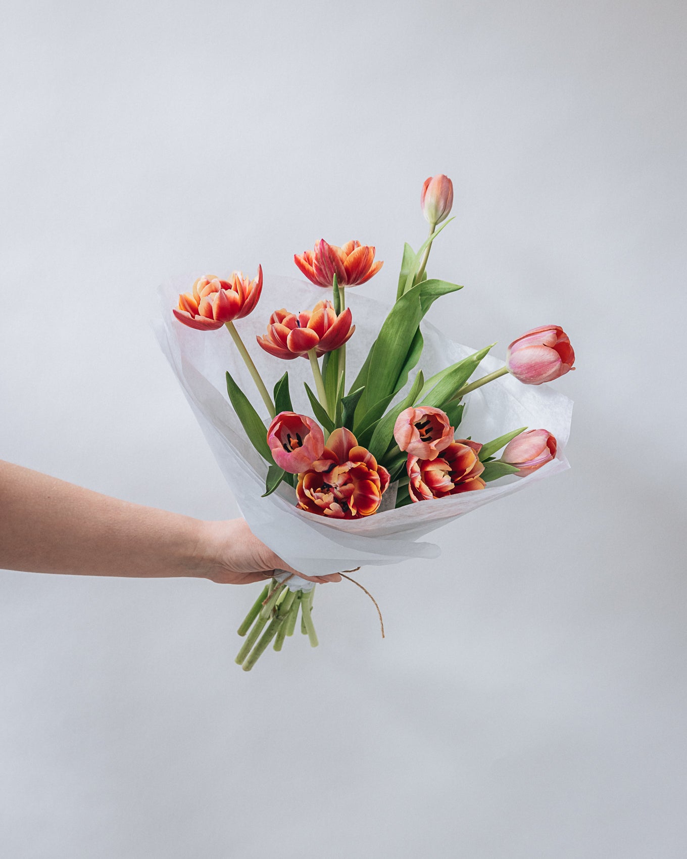 Tulip Bundle