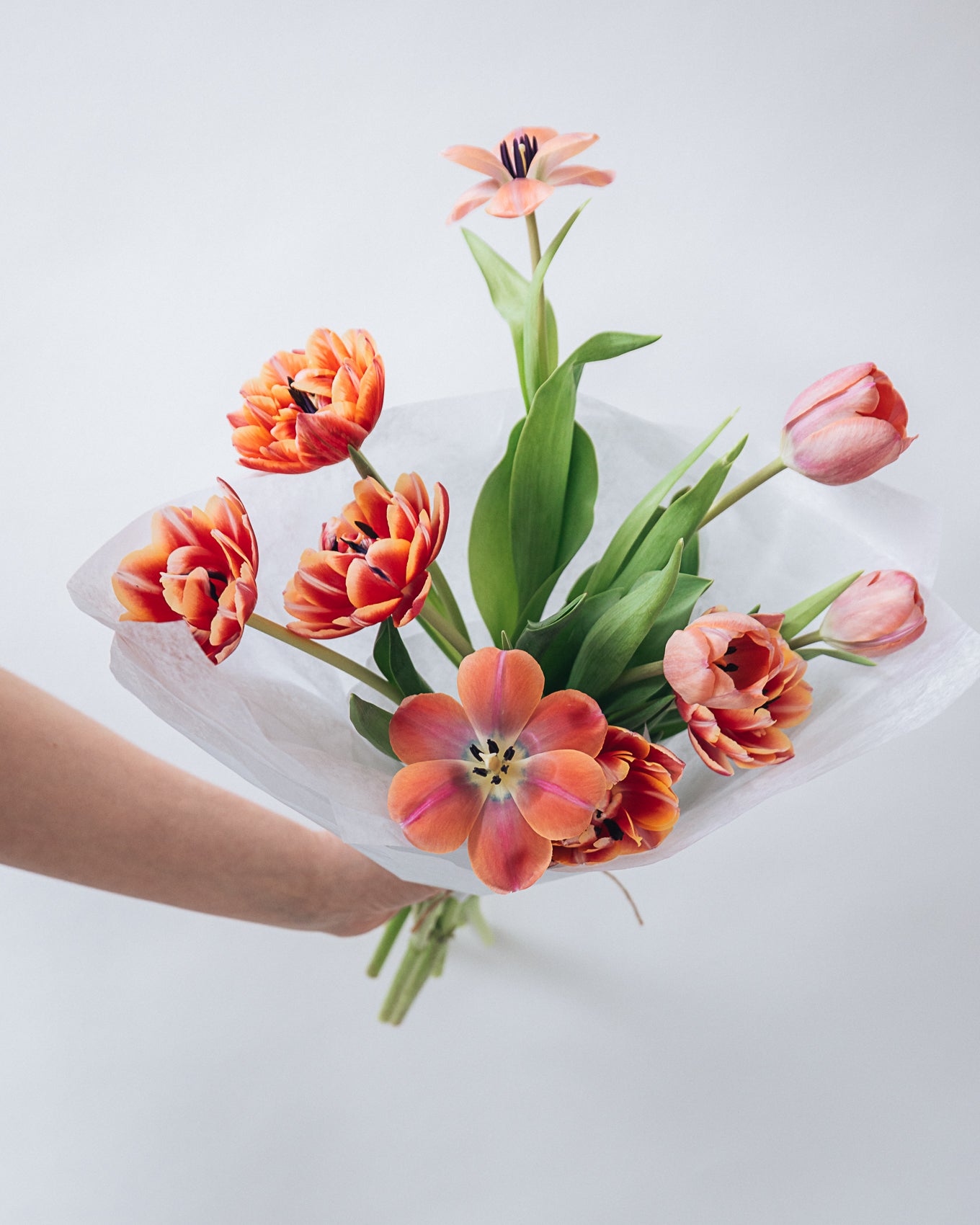 Tulip Bundle