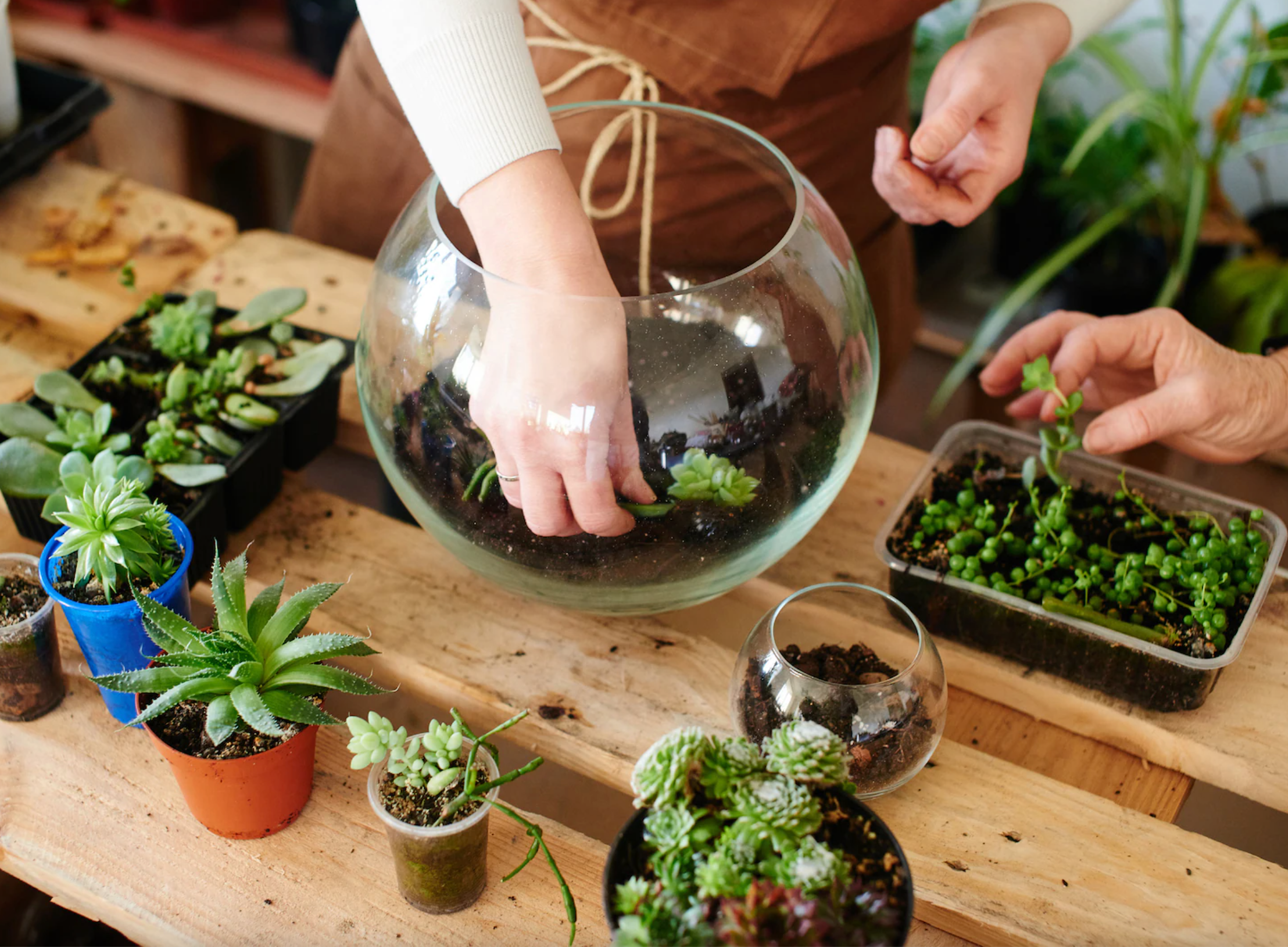 "Terrarium Tales: A Spring Break Adventure for Kids Ages 8-12!"