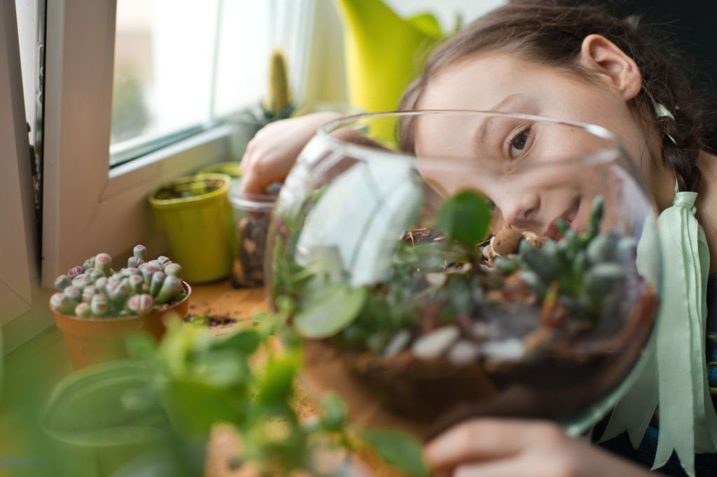 "Terrarium Tales: A Spring Break Adventure for Kids Ages 8-12!"