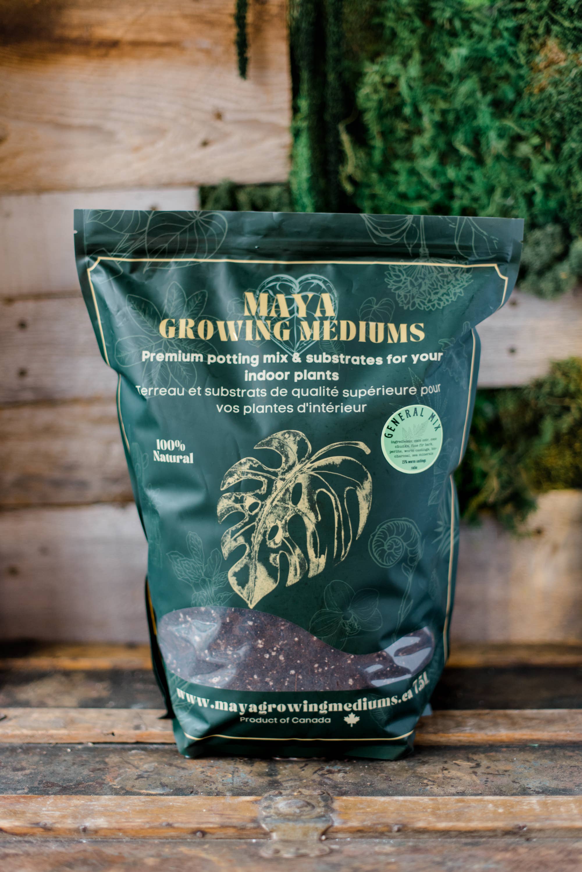 MAYA: General blend - Large