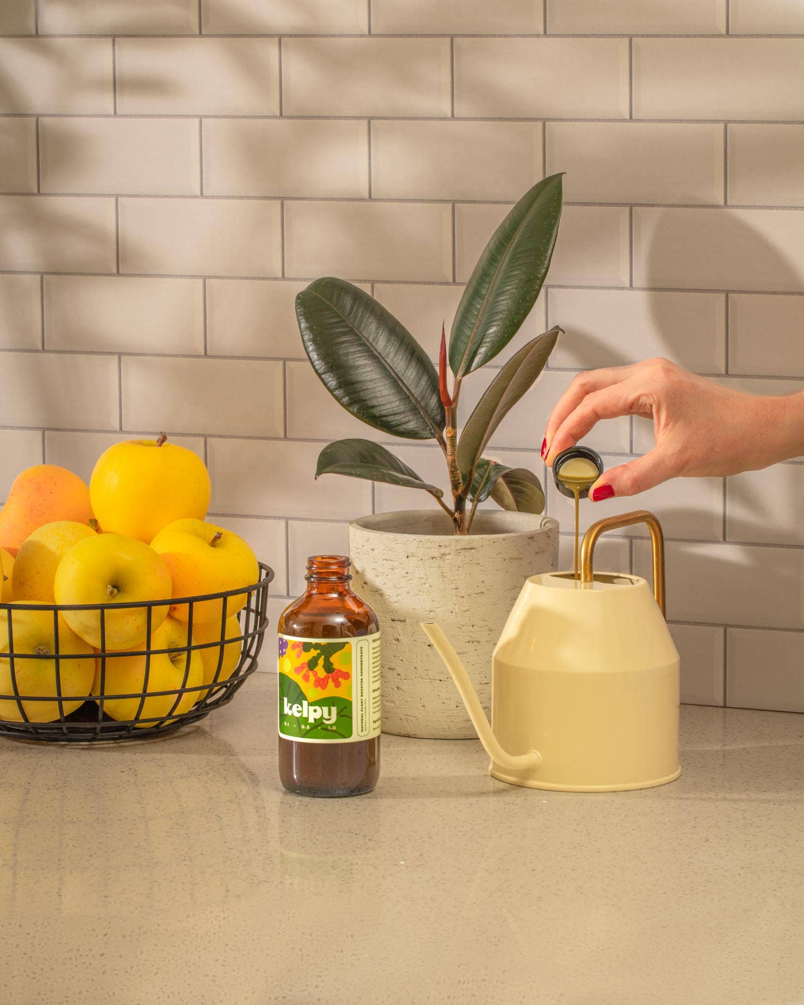 Kelpy Plant Food Large Size 500 ml