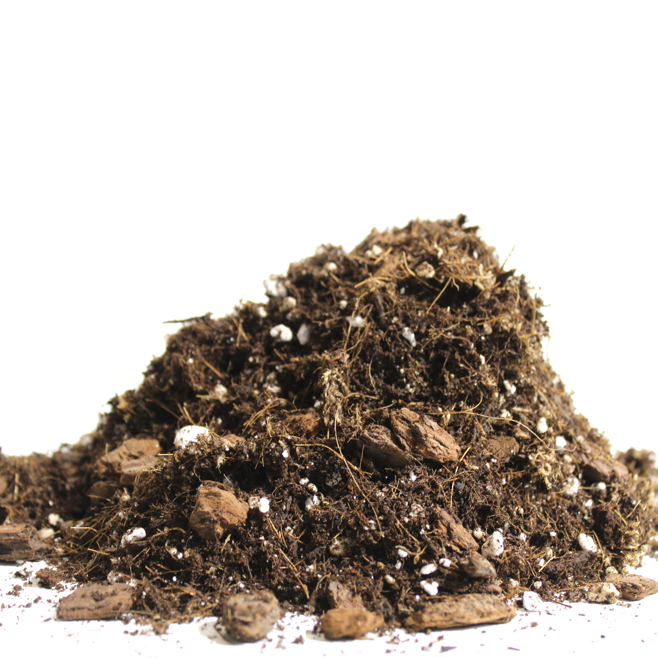 MAYA: Aroid blend - Large 8.5L