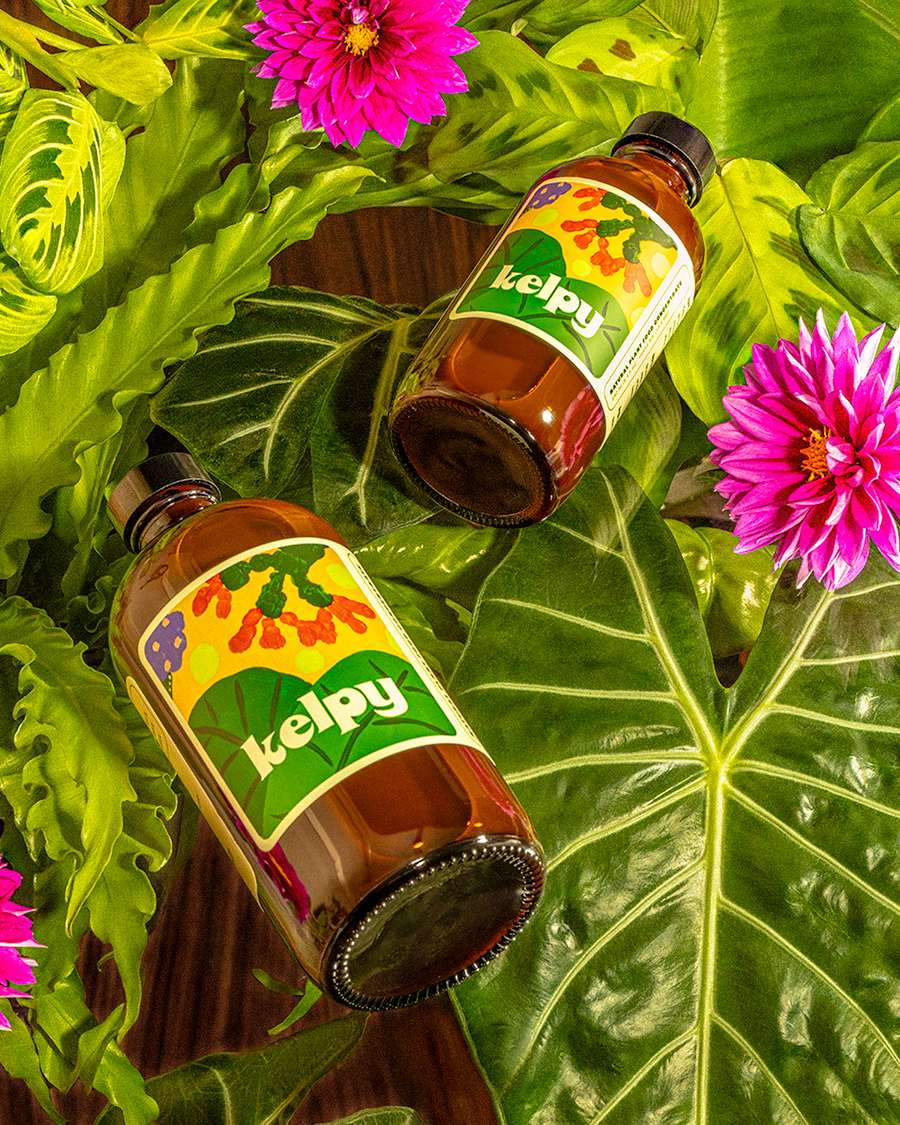 Kelpy Plant Food Large Size 500 ml