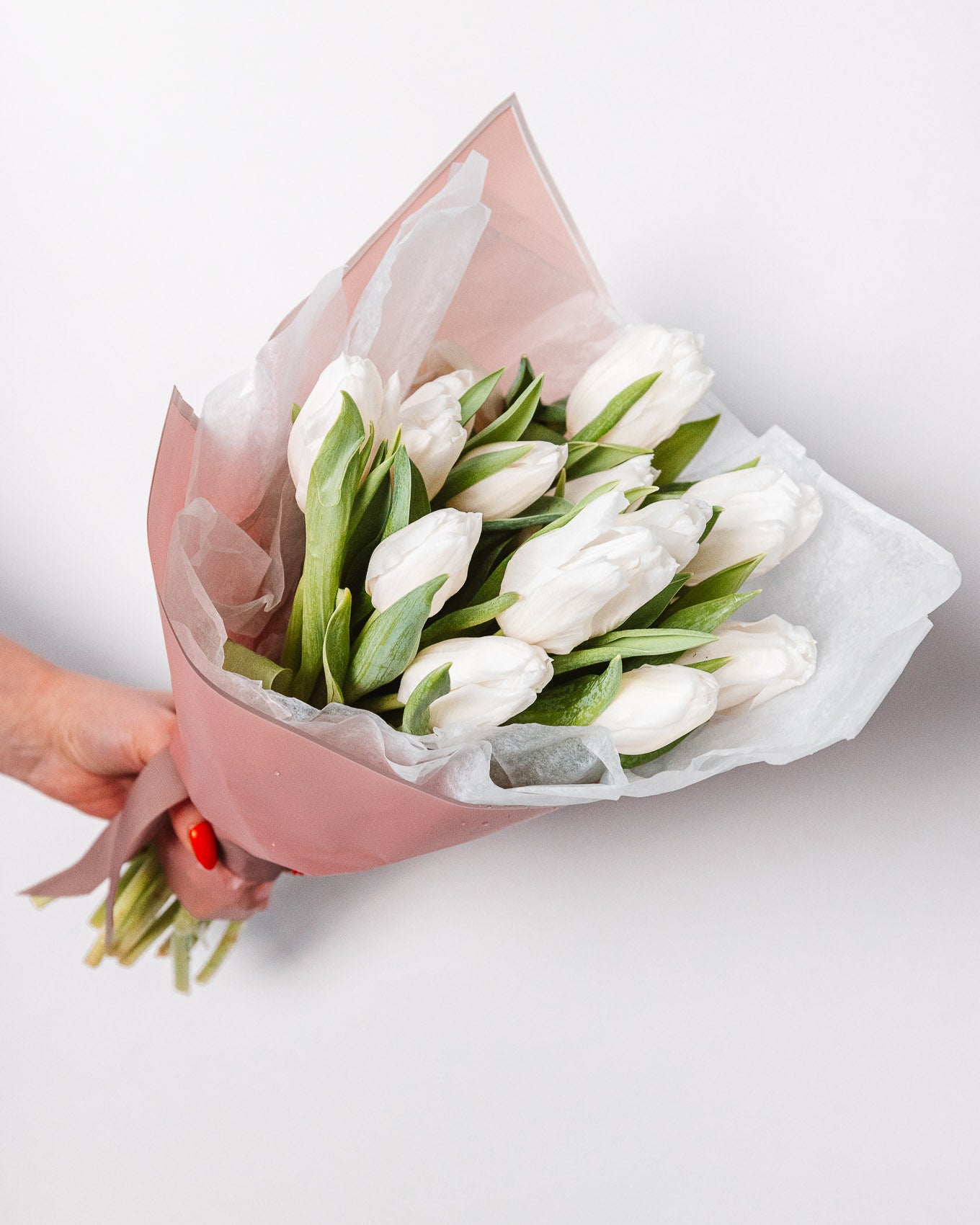 Tulip Bundle
