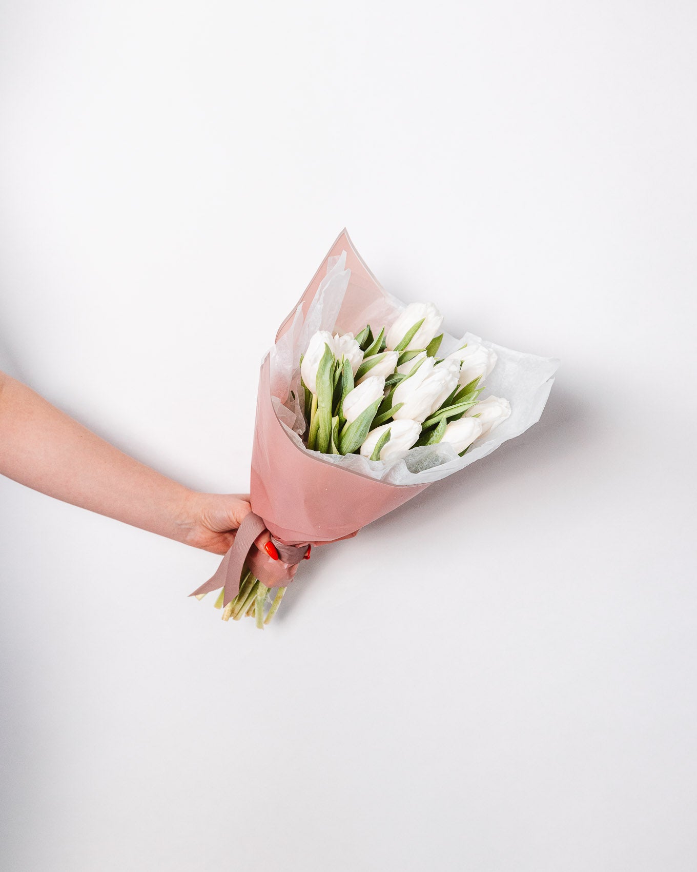 Tulip Bundle