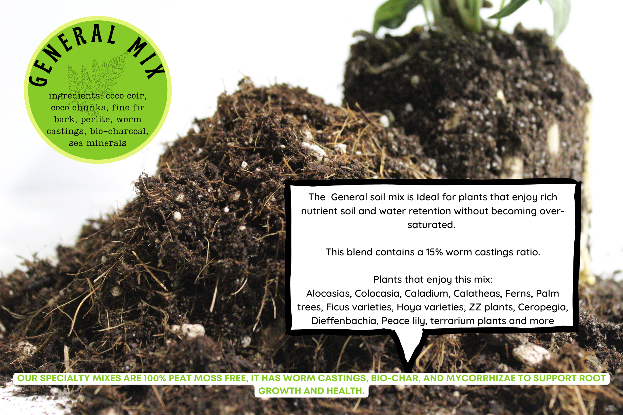 MAYA: General blend - Large