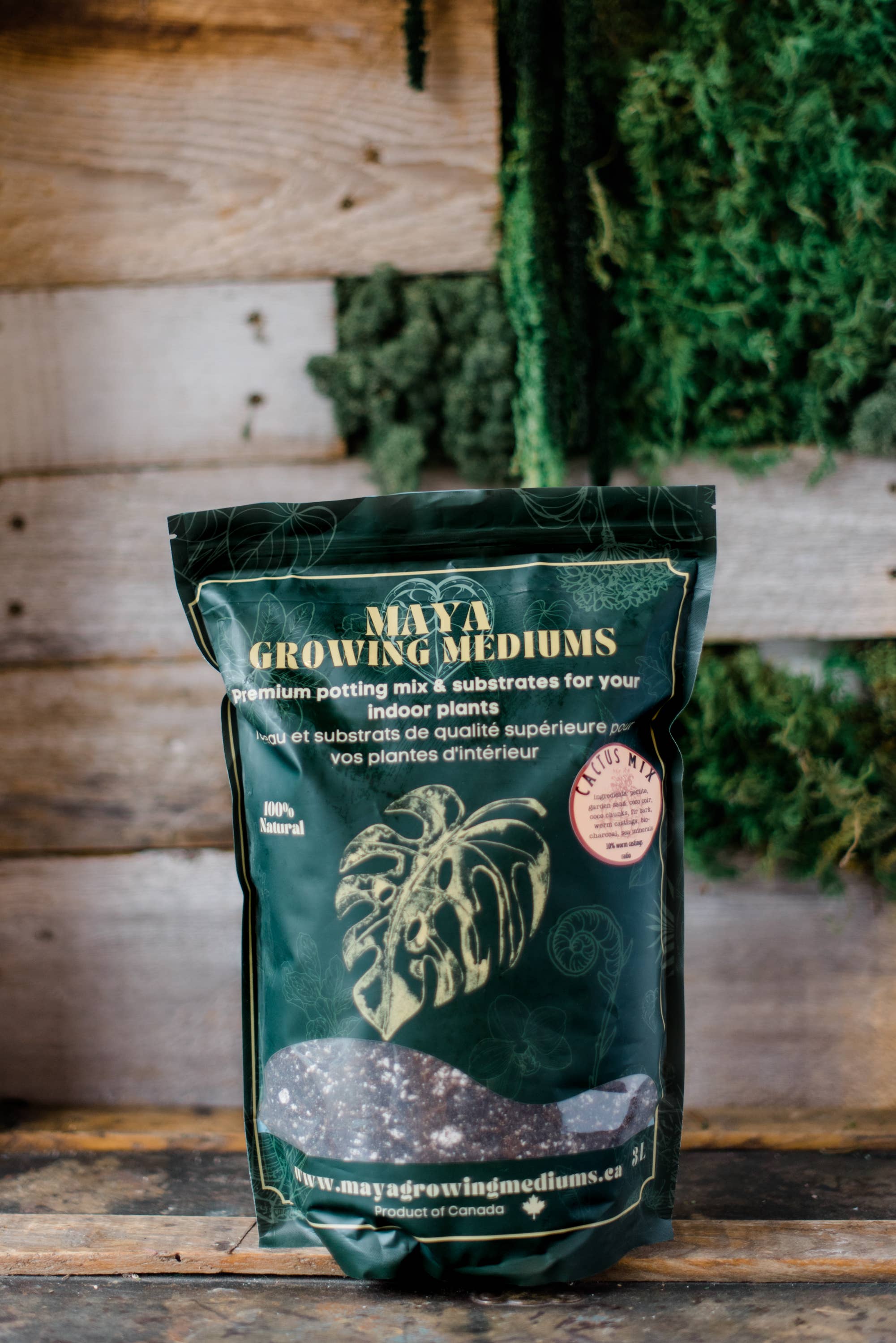 MAYA: Cactus blend - Large