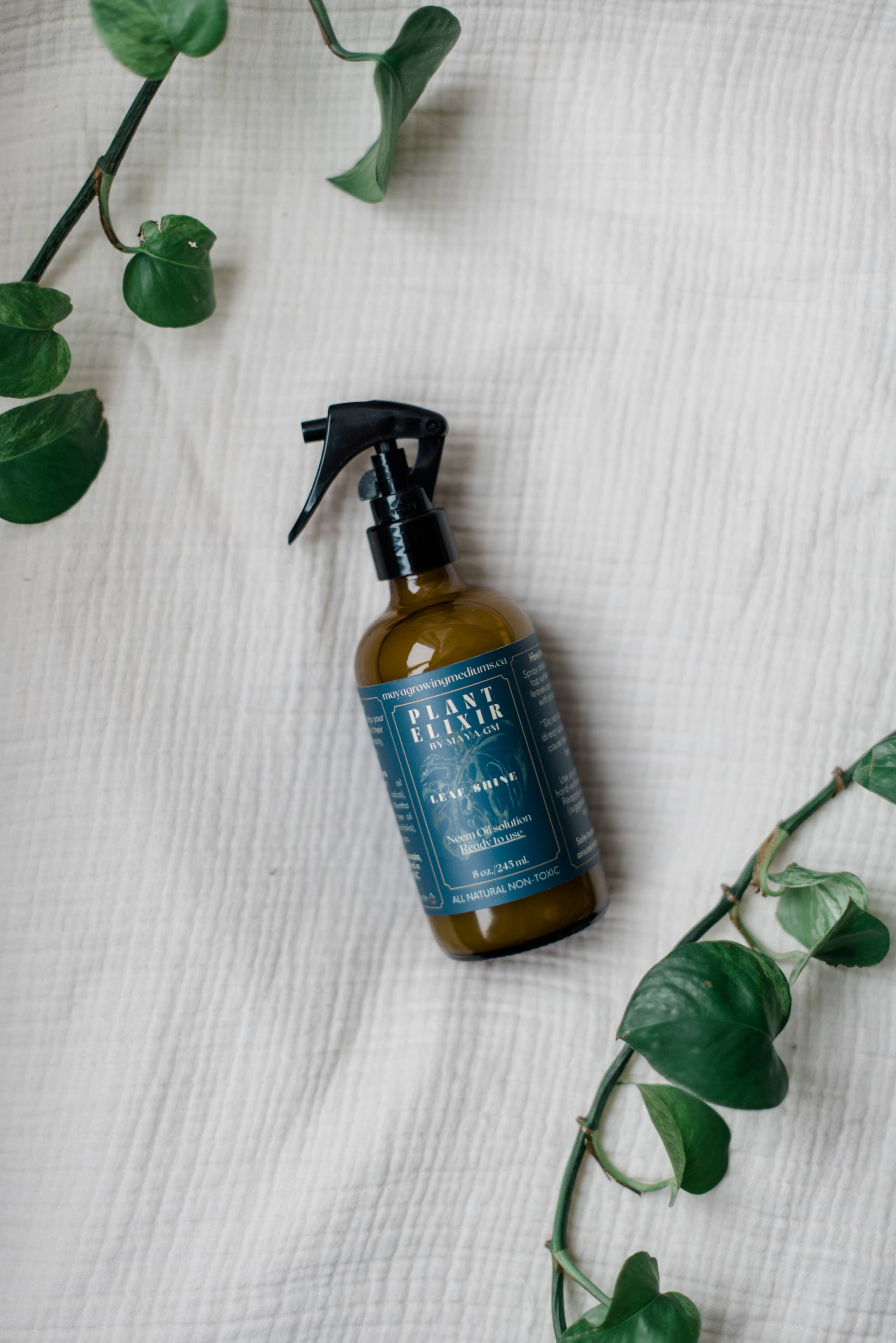 Plant Elixir Leaf shine -Ready to use- Spray bottle