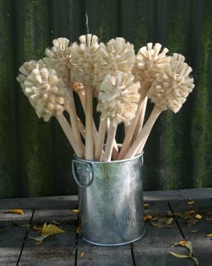 REDECKER Bottle Brush 35cm/14": Untreated beechwood with Light horsehair bristles