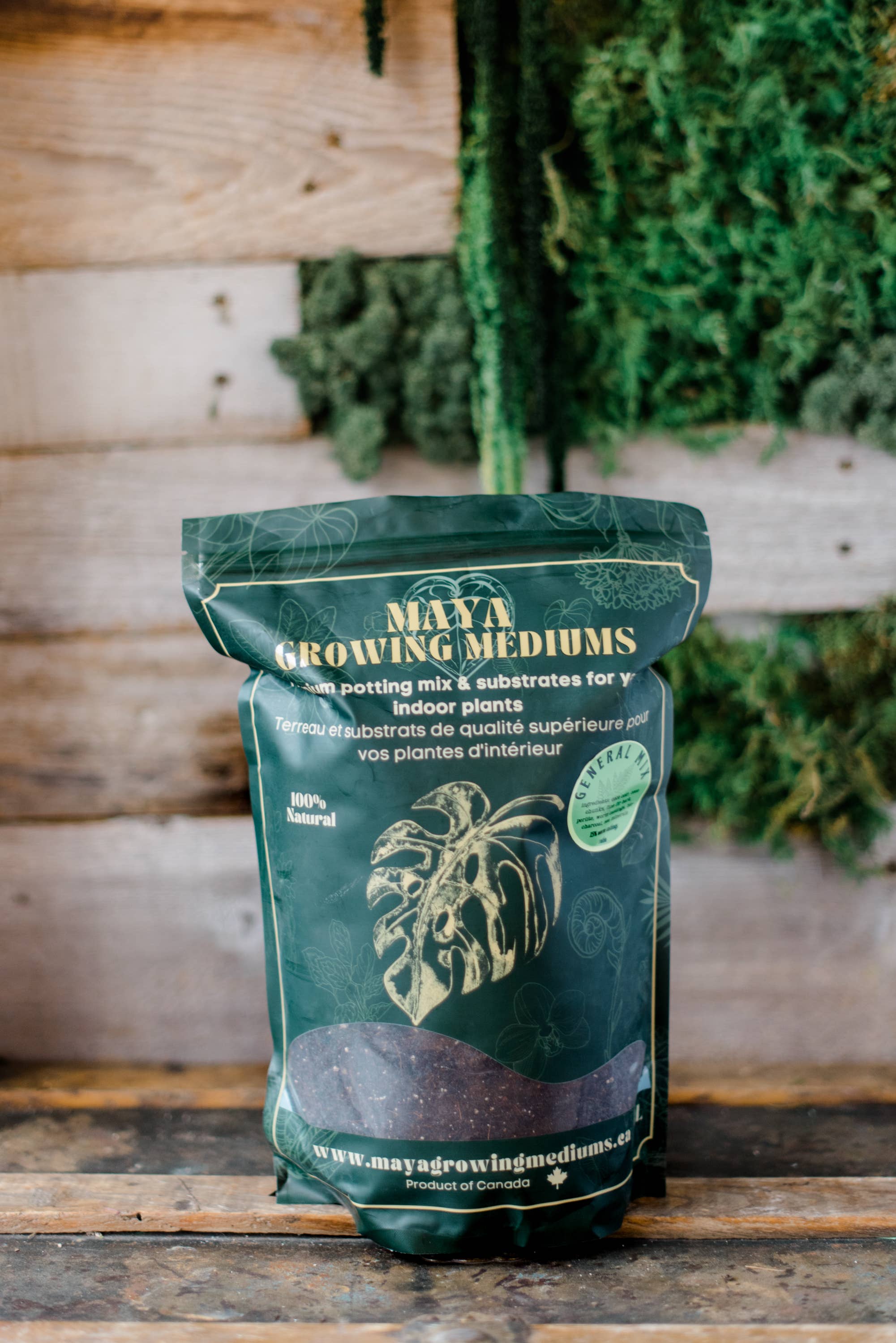 MAYA: General blend - Large