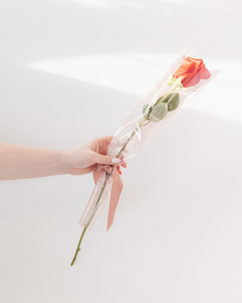 Single Rose